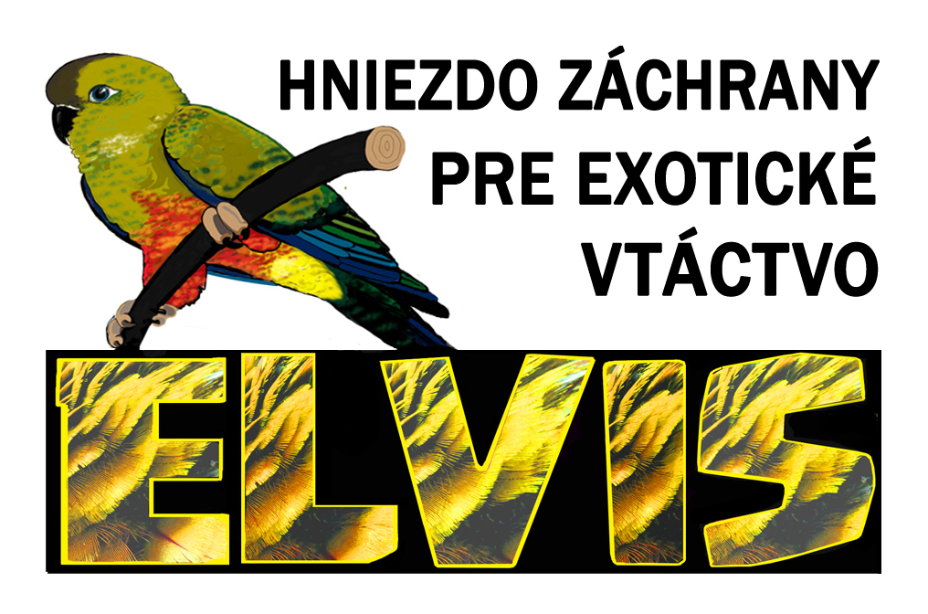 EXOTICKEVTACTVO-PLUS